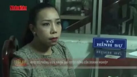 Bonobo: Nguồn Gốc Tiến Hóa Của Ngôn Ngữ Con Người?_Video ngắn trên Instagram Reels
